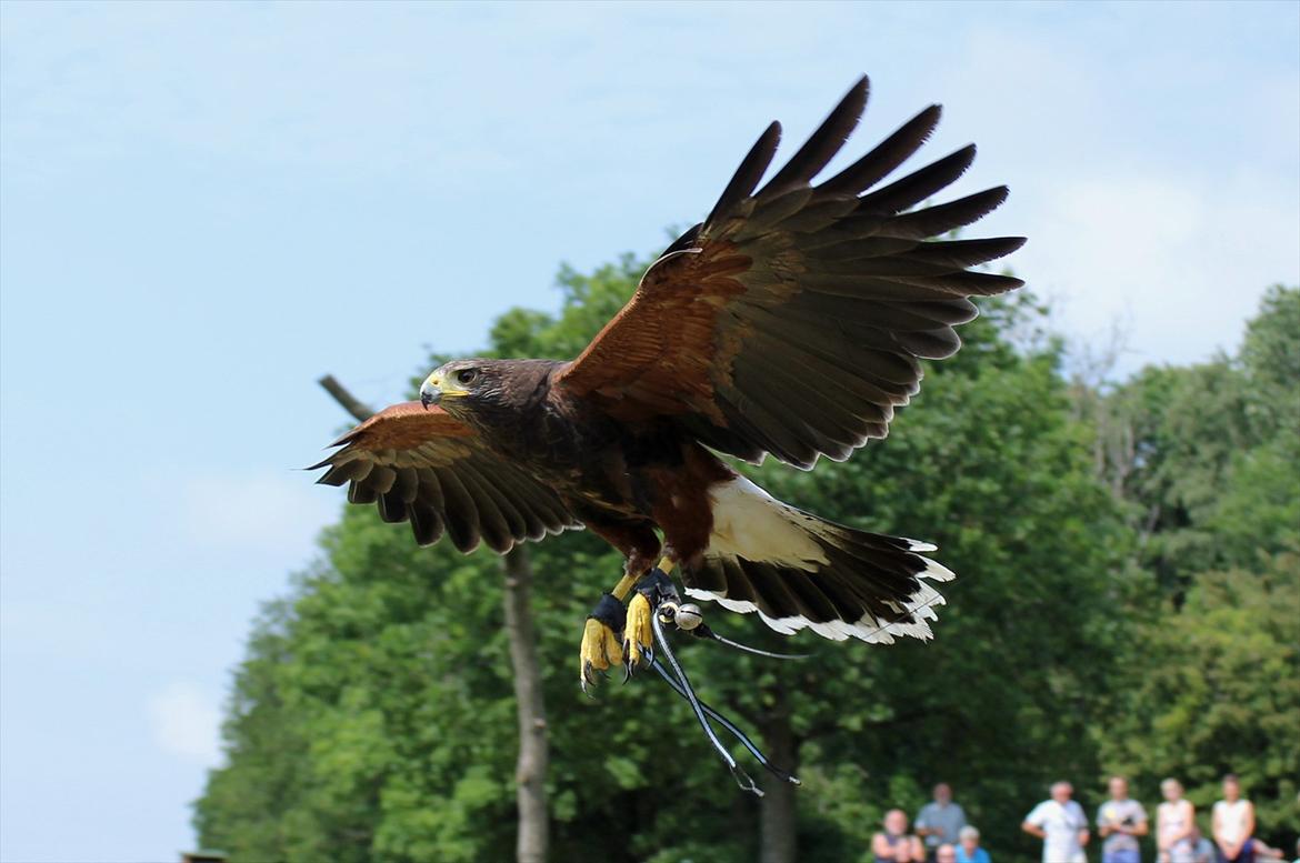 En herlig sommer! :-D billede 8