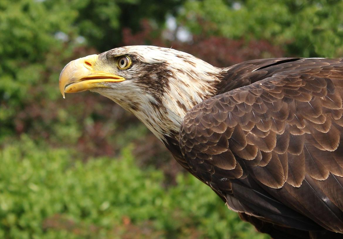 En herlig sommer! :-D billede 12