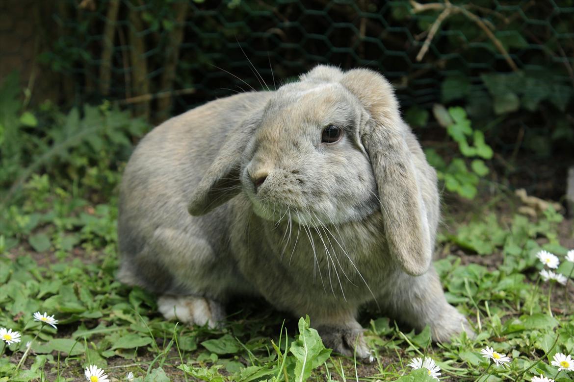 En herlig sommer! :-D billede 13