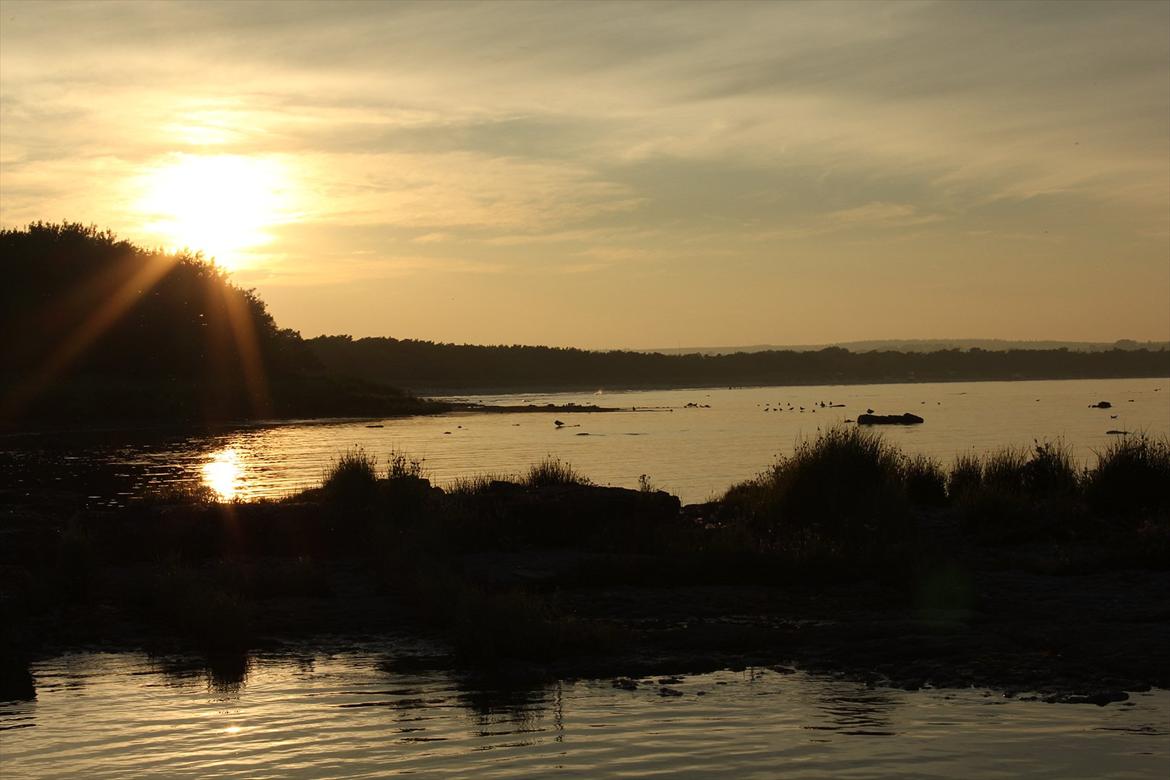 En herlig sommer! :-D - En aften på Bornholm<3 billede 15