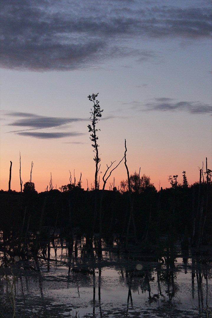 En herlig sommer! :-D billede 16