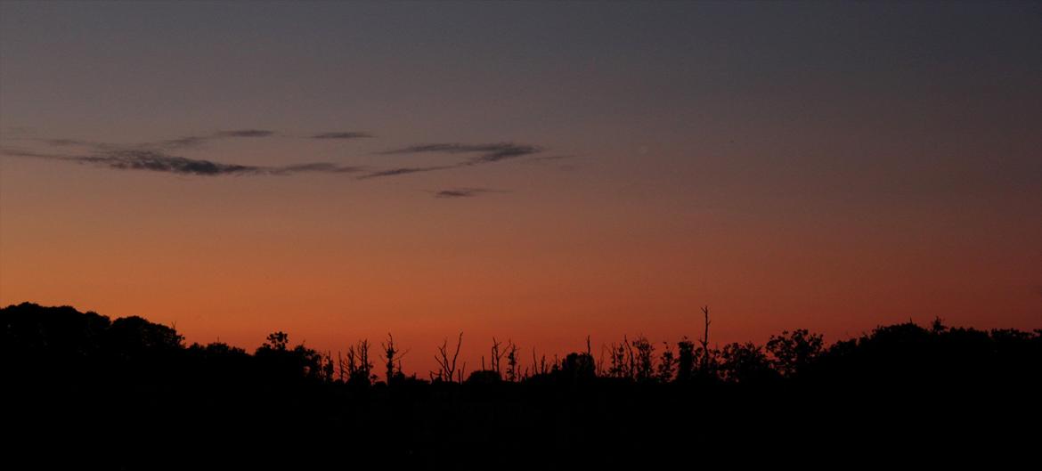 En herlig sommer! :-D billede 17