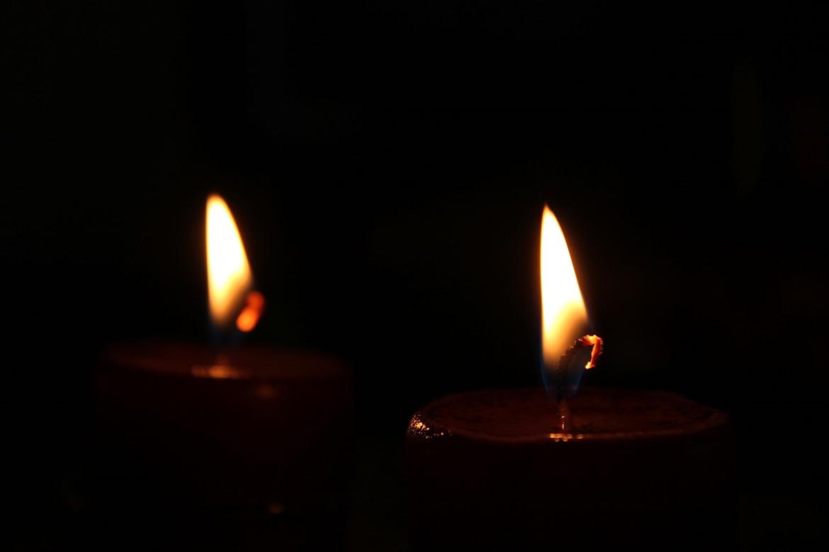 En herlig sommer! :-D billede 21