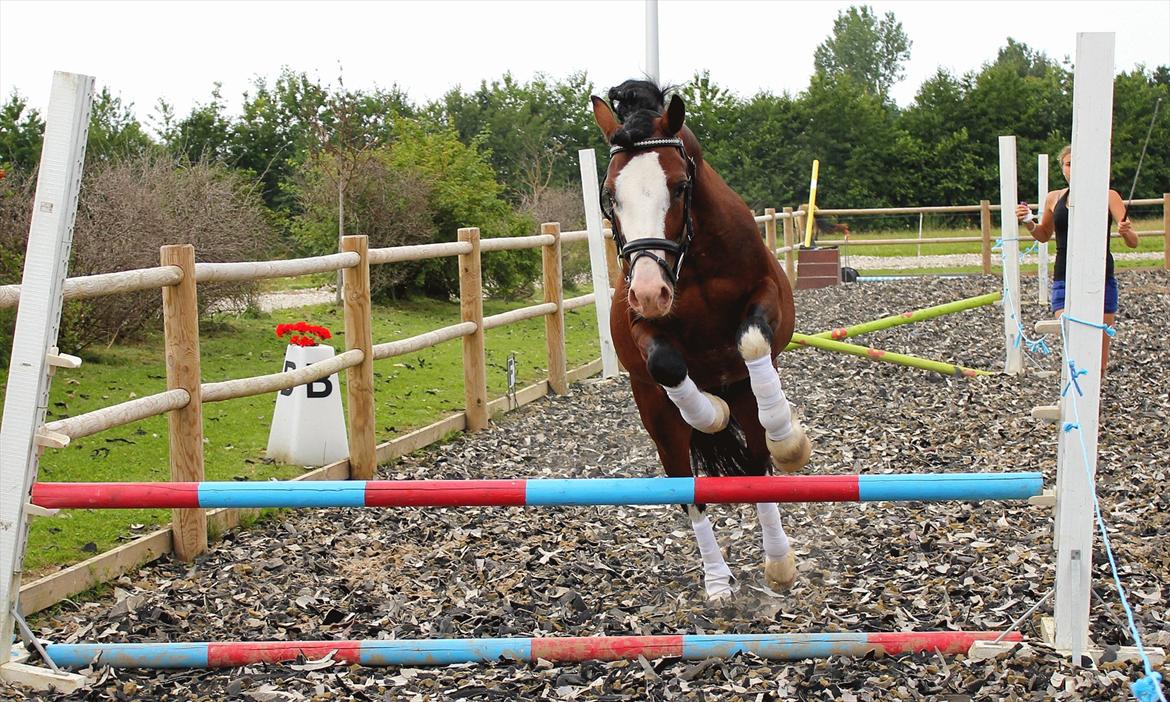 En herlig sommer! :-D - Thers Mickey Mouse billede 24