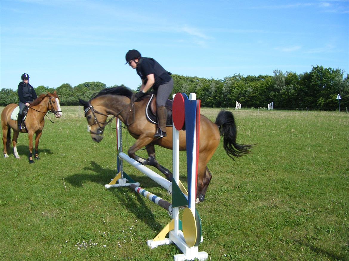 Elmelund rideklub billede 7