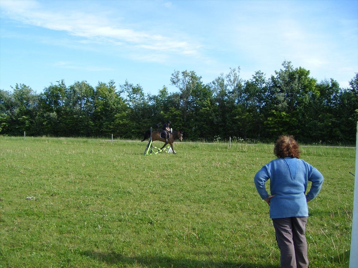 Elmelund rideklub billede 8