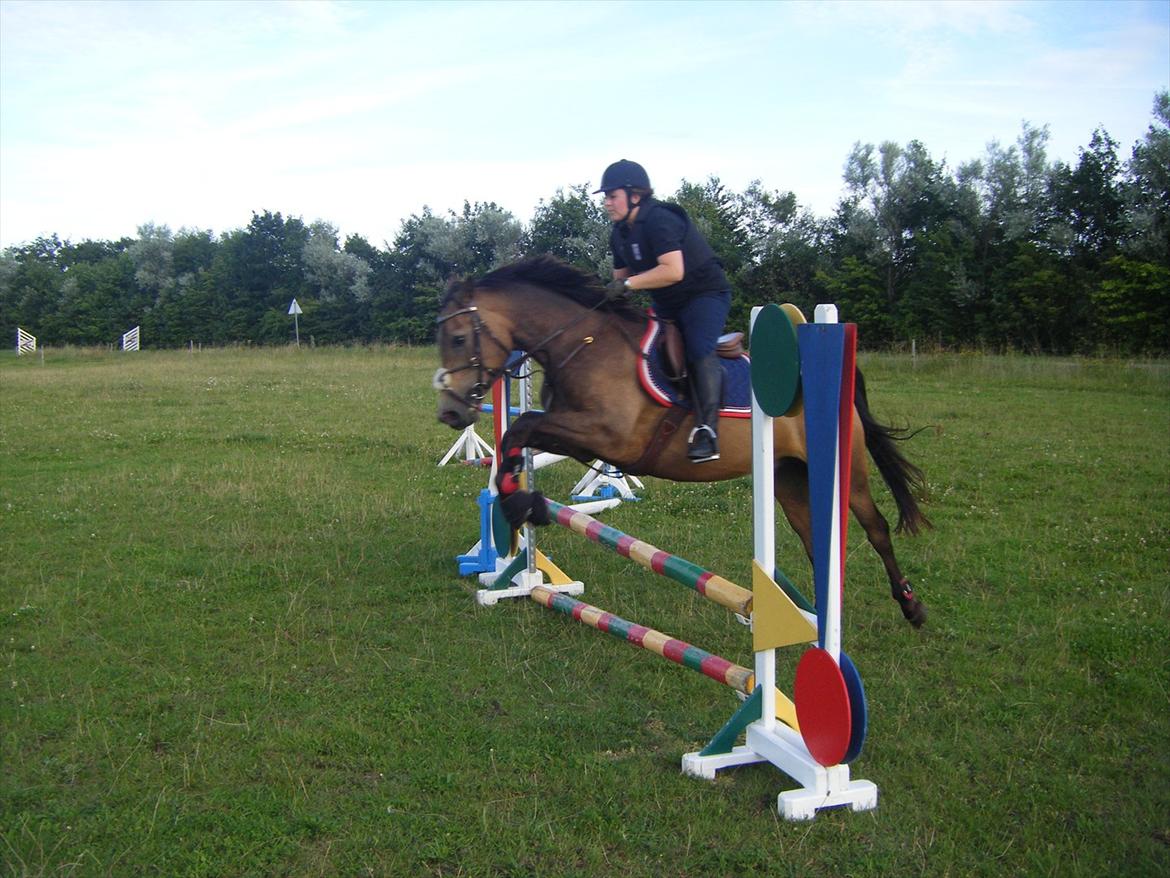 Elmelund rideklub billede 10