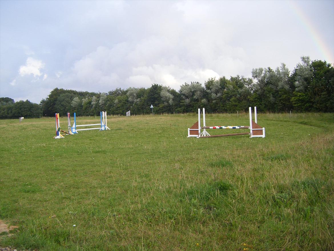 Elmelund rideklub billede 14