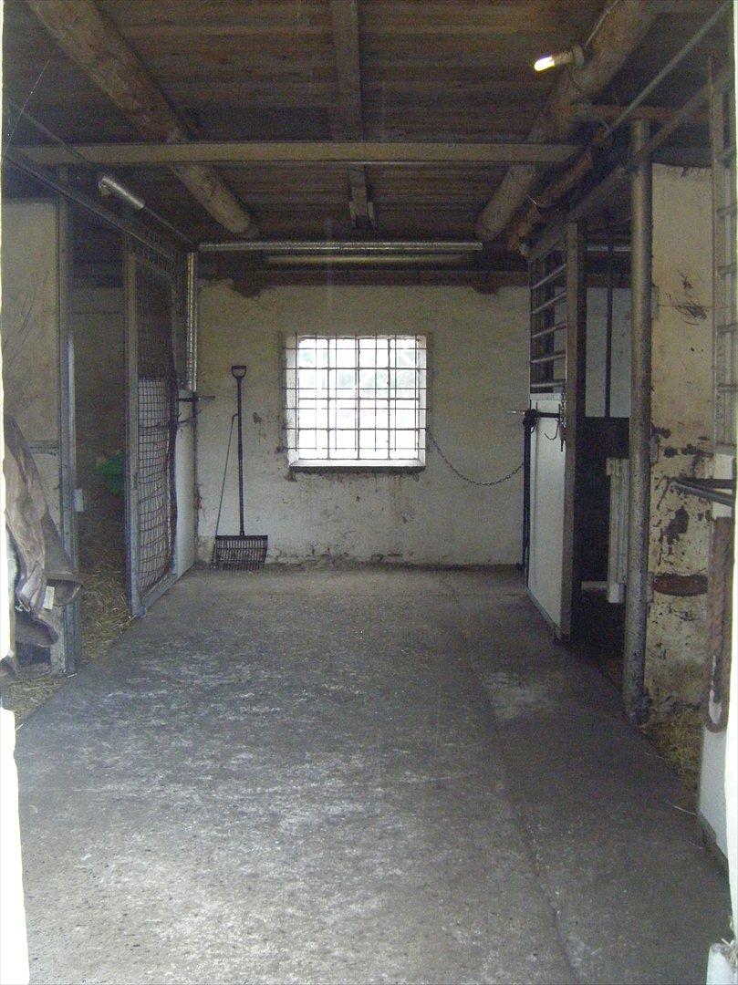 Elmelund rideklub billede 16