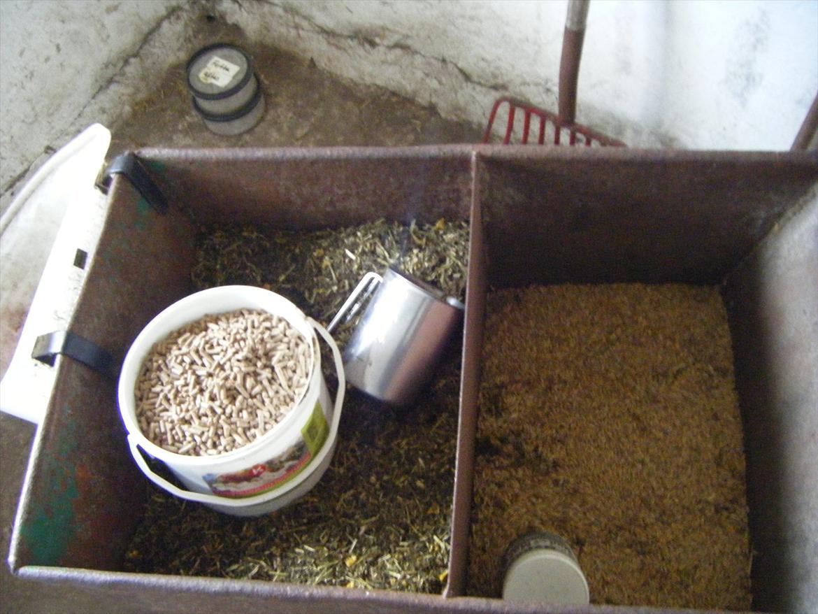 Elmelund rideklub billede 18