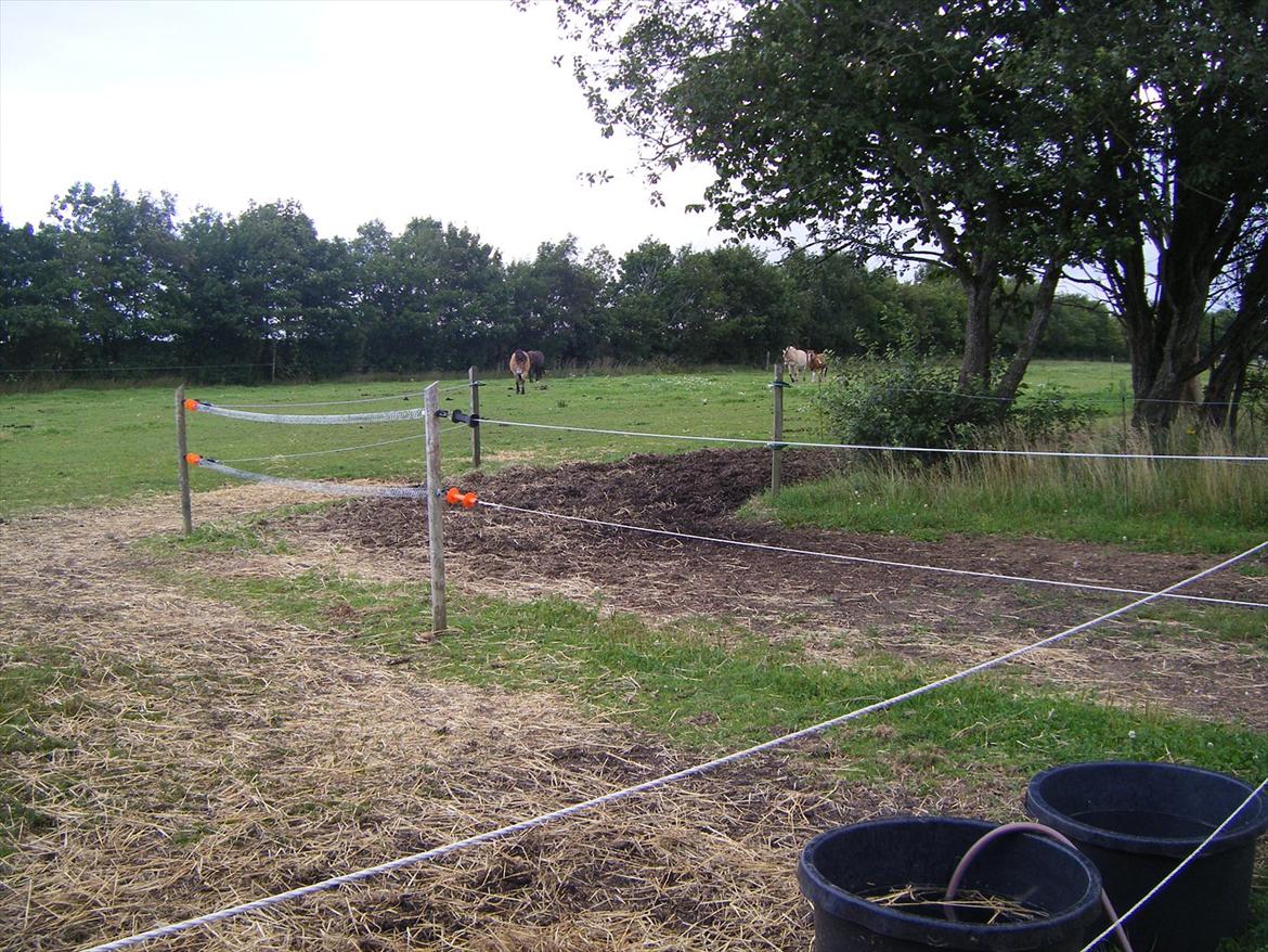 Elmelund rideklub billede 20