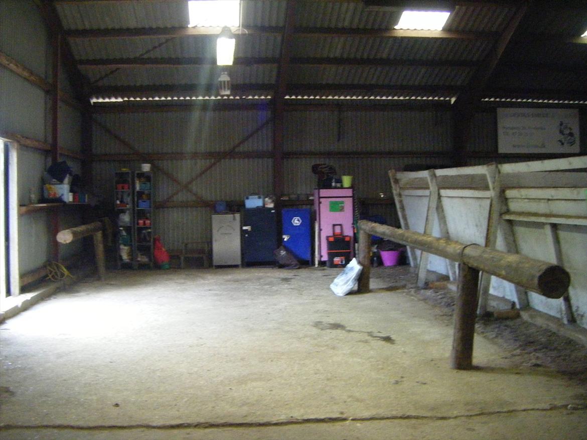 Elmelund rideklub billede 22