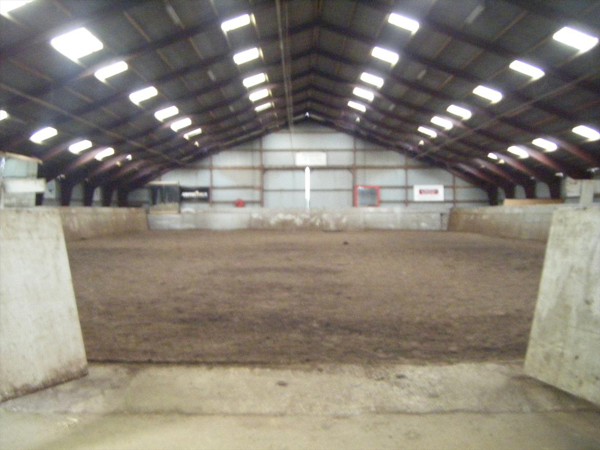 Elmelund rideklub billede 23