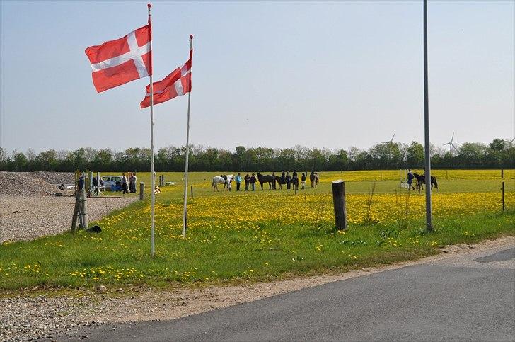 Elmelund rideklub billede 29