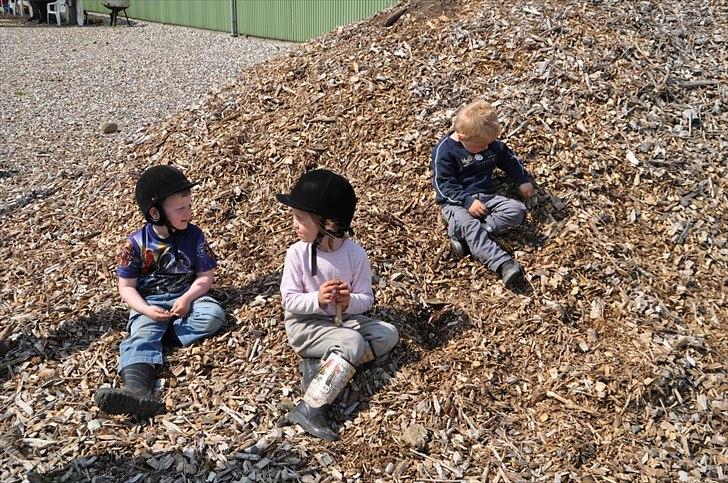 Elmelund rideklub billede 33