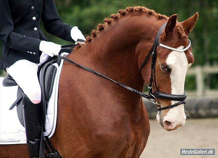 Tegninger :D   - Original billede :) - Sprinter Amor  billede 204