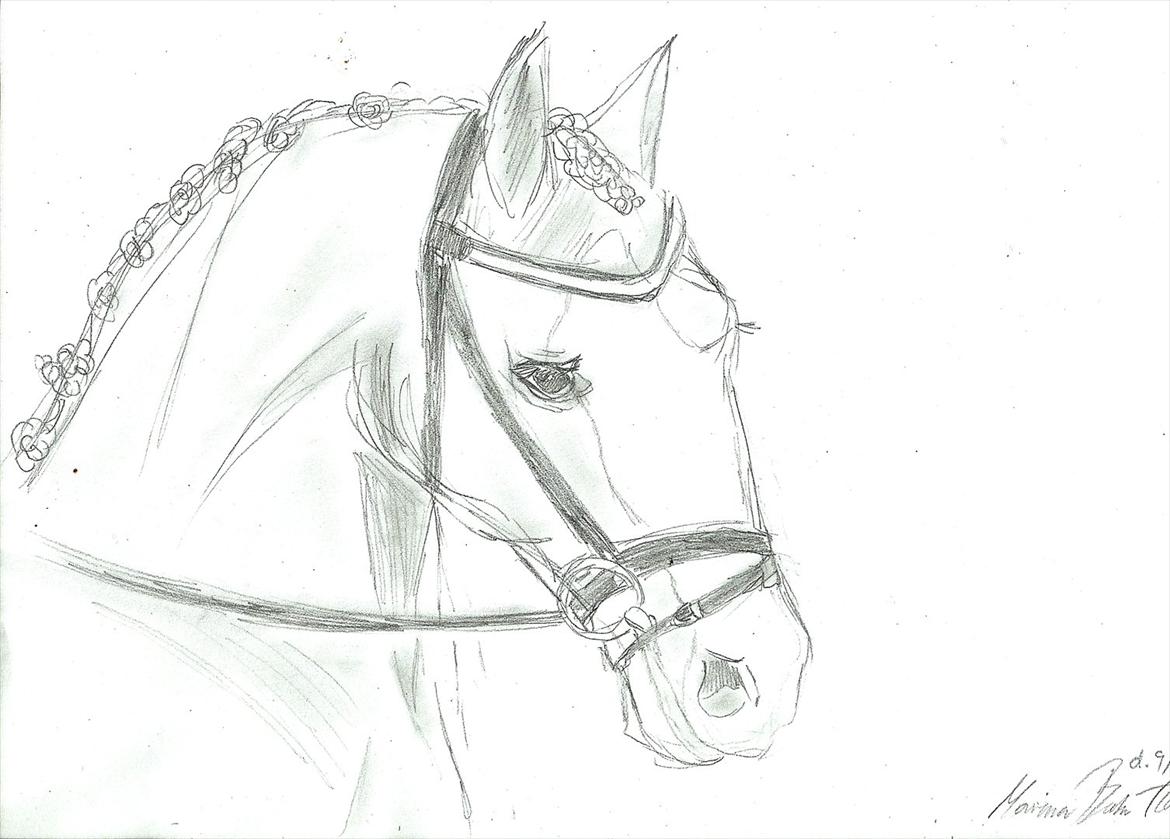 Tegninger :D   - Tegning til linette S :)
Tegnet tirsdag d. 9. august 2011 billede 203