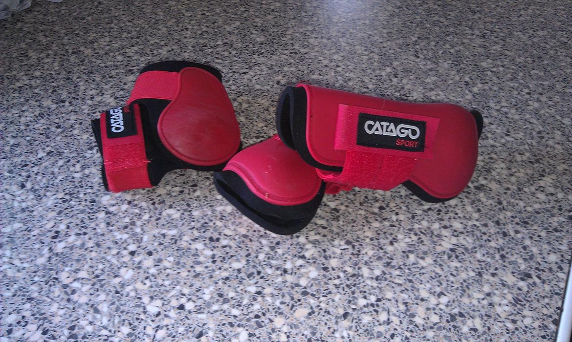 Mit udstyr til hestene. - Røde Catago gamacher. billede 58