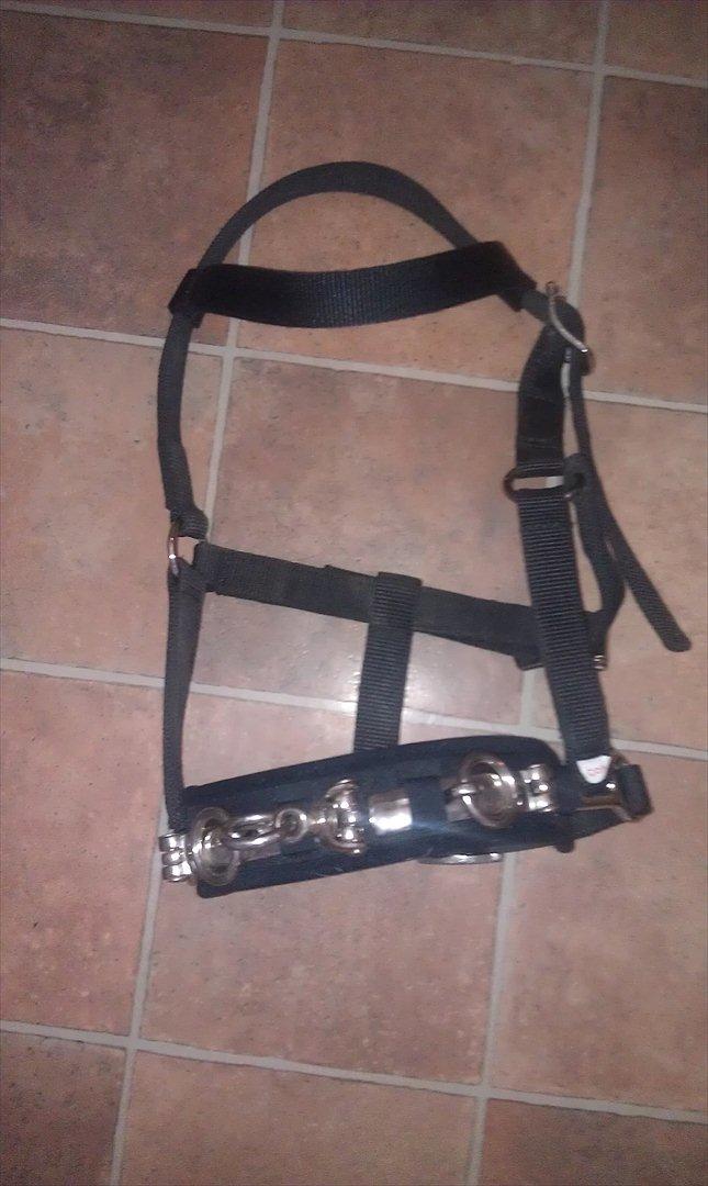 Mit udstyr til hestene. - Kapsun. billede 34