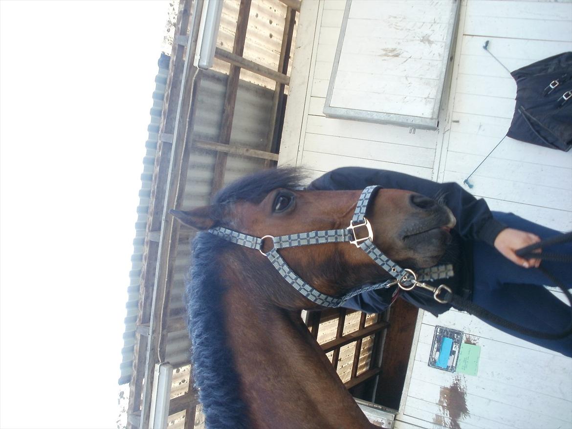 Emma Andersen & Walter<3 Maja Skovgaard som fotograf!:P <3 billede 14