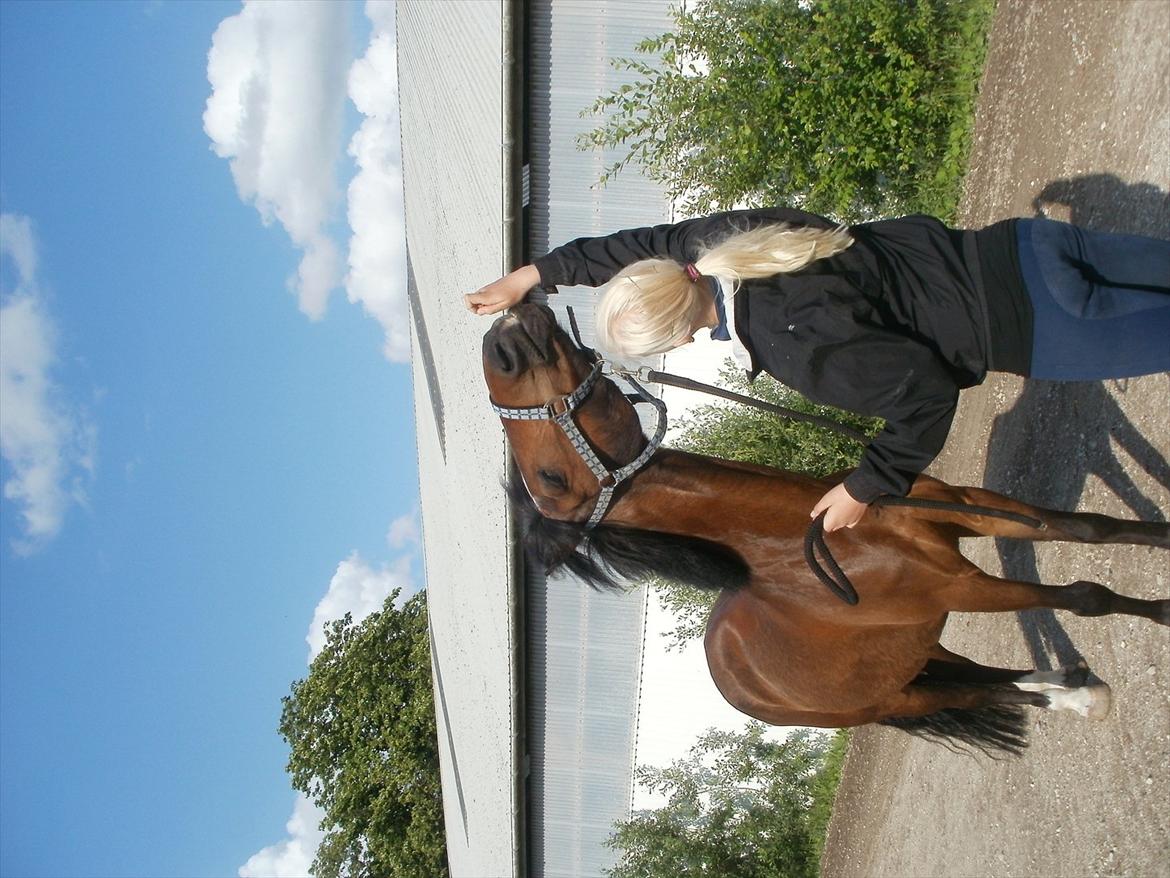 Emma Andersen & Walter<3 Maja Skovgaard som fotograf!:P <3 billede 17