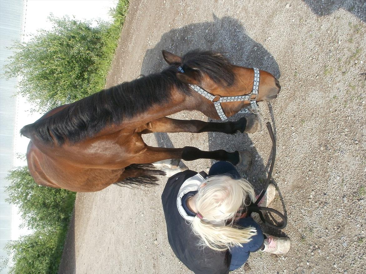 Emma Andersen & Walter<3 Maja Skovgaard som fotograf!:P <3 billede 23