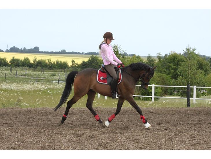 {{currentPhoto.altText}} billede {{currentPhoto.number}}