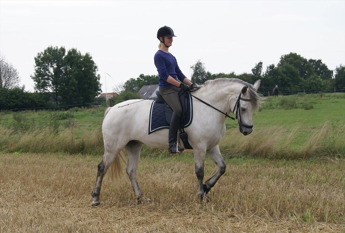 Stubmarker 2011 :D billede 2