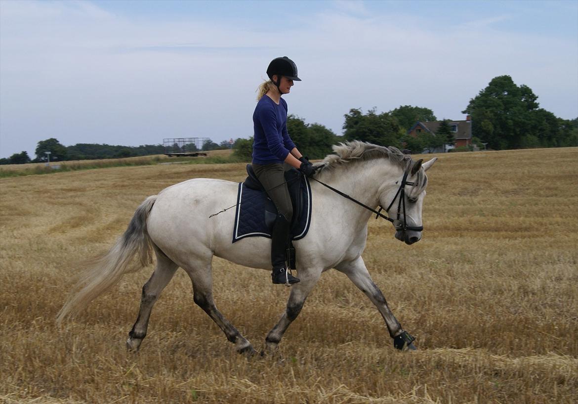 Stubmarker 2011 :D billede 3