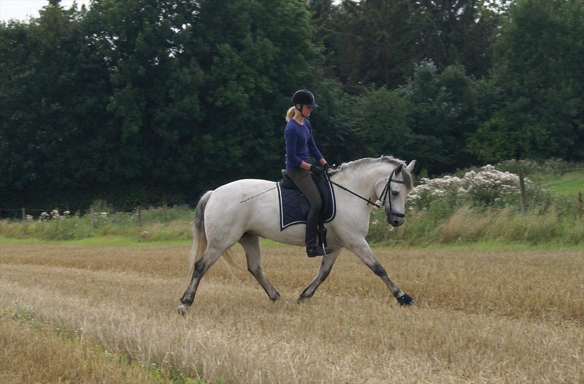 Stubmarker 2011 :D billede 4