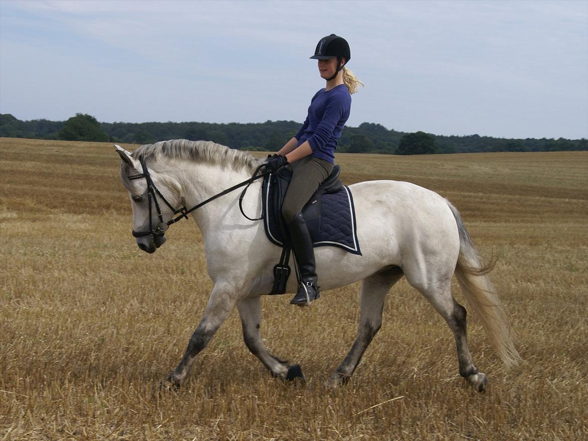 Stubmarker 2011 :D billede 5