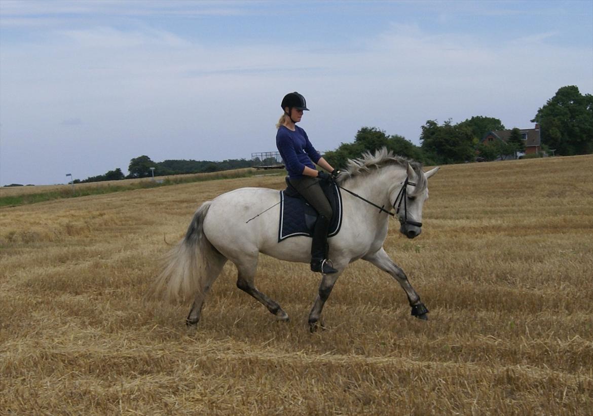 Stubmarker 2011 :D billede 6