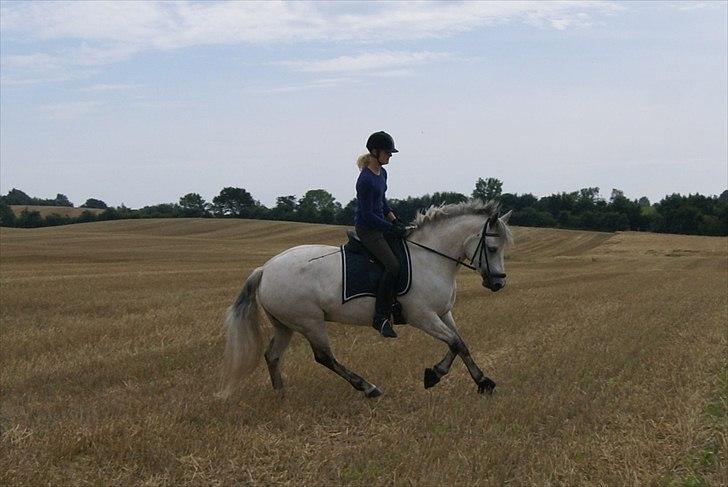 Stubmarker 2011 :D billede 8