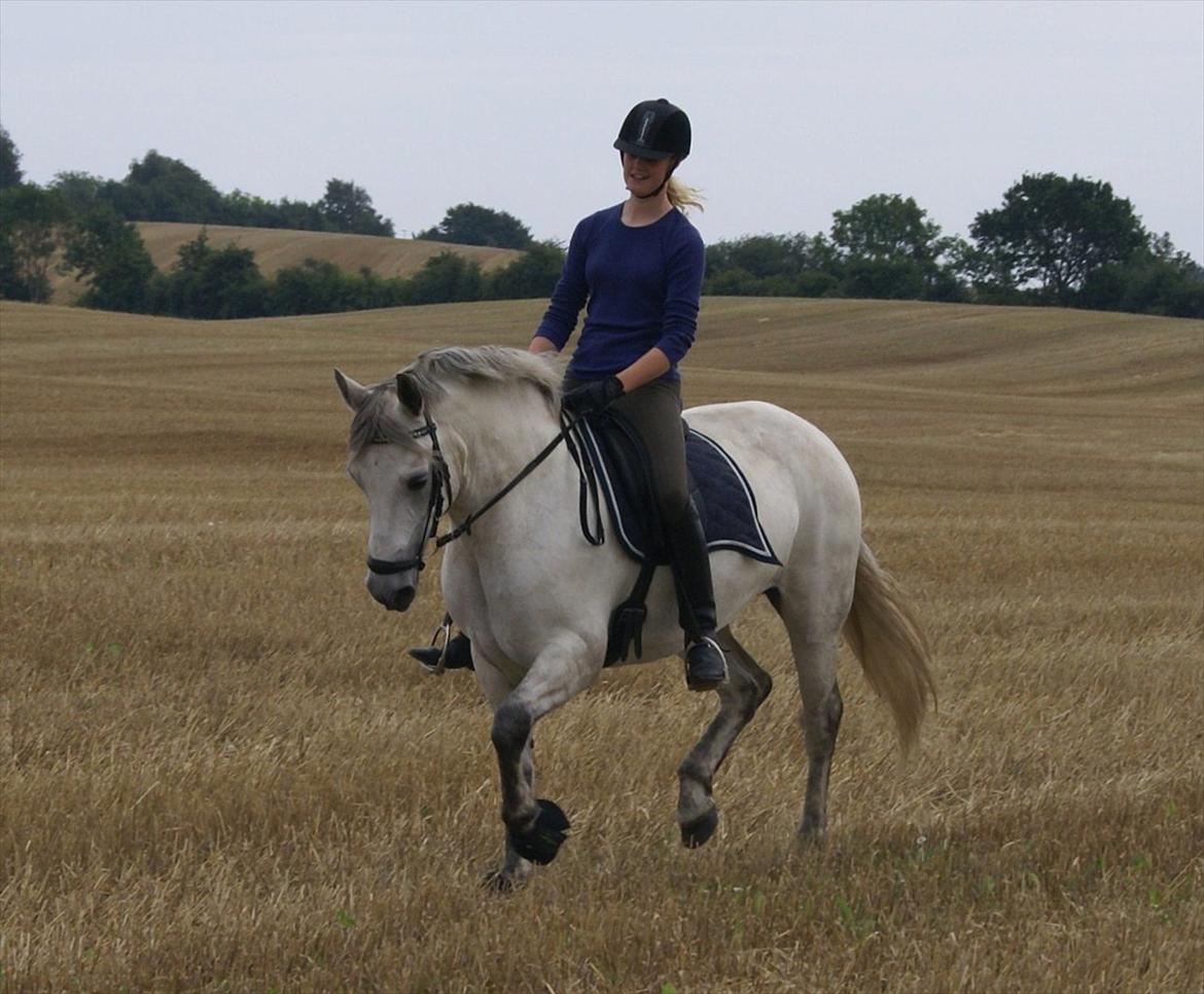 Stubmarker 2011 :D billede 9