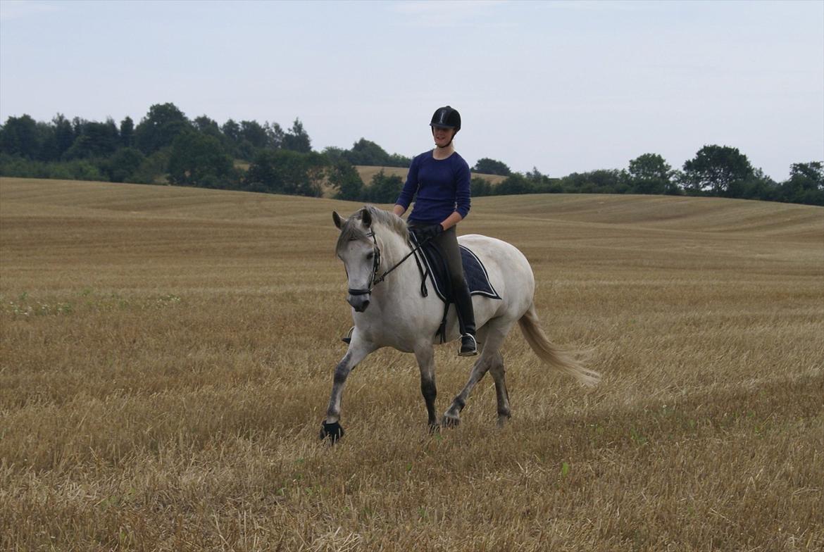 Stubmarker 2011 :D billede 10