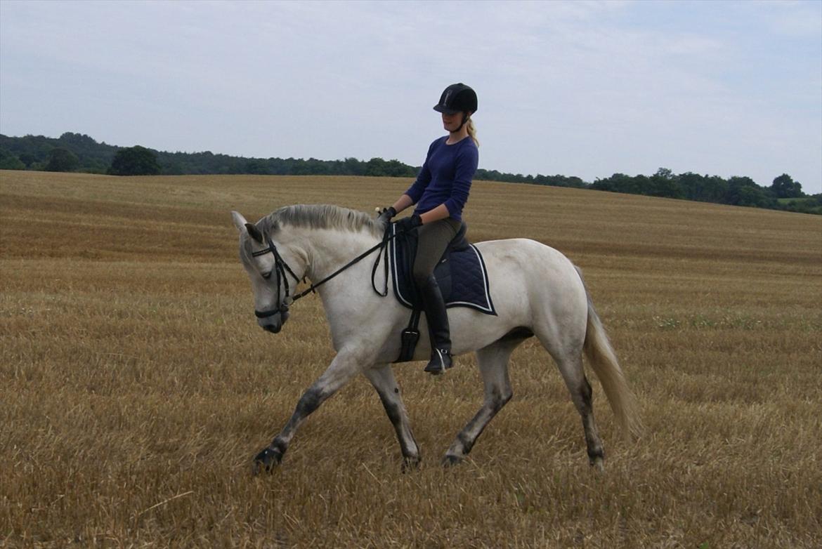 Stubmarker 2011 :D billede 11