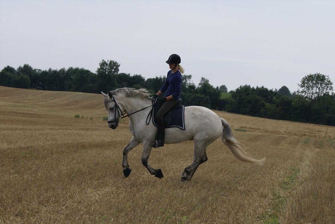 Stubmarker 2011 :D billede 12