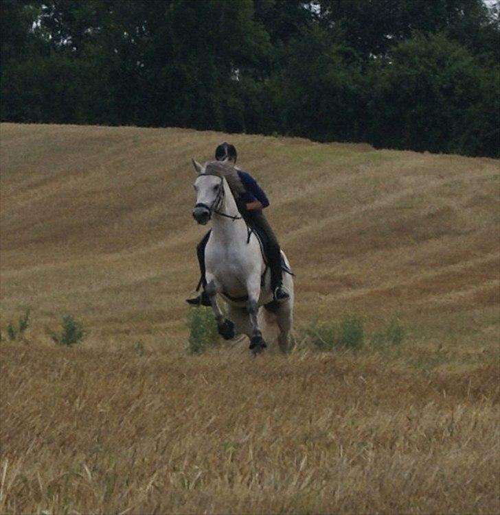 Stubmarker 2011 :D - AAAAFFFSSSSTTTTEEEEDD!! billede 13