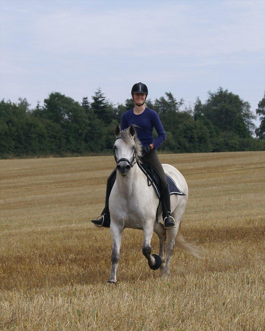 Stubmarker 2011 :D billede 15