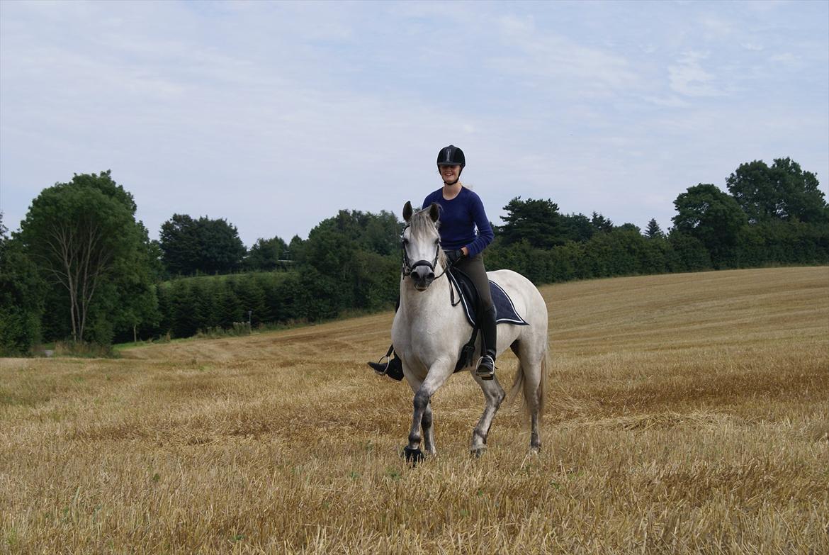 Stubmarker 2011 :D billede 16