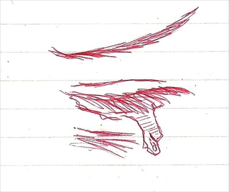 Tegninger :D   - Fra "øjesiden" (eller vi nu skal kalde den xD) ærgeligt det er blevet lidt dårlig kvalitet :/ Men jeg synes det er ret ninja at jeg kunne tegne så flot et LUKKET øje :O :D!!! billede 212