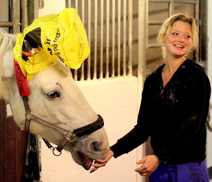 Sjov med Netto-pose ;)  billede 10