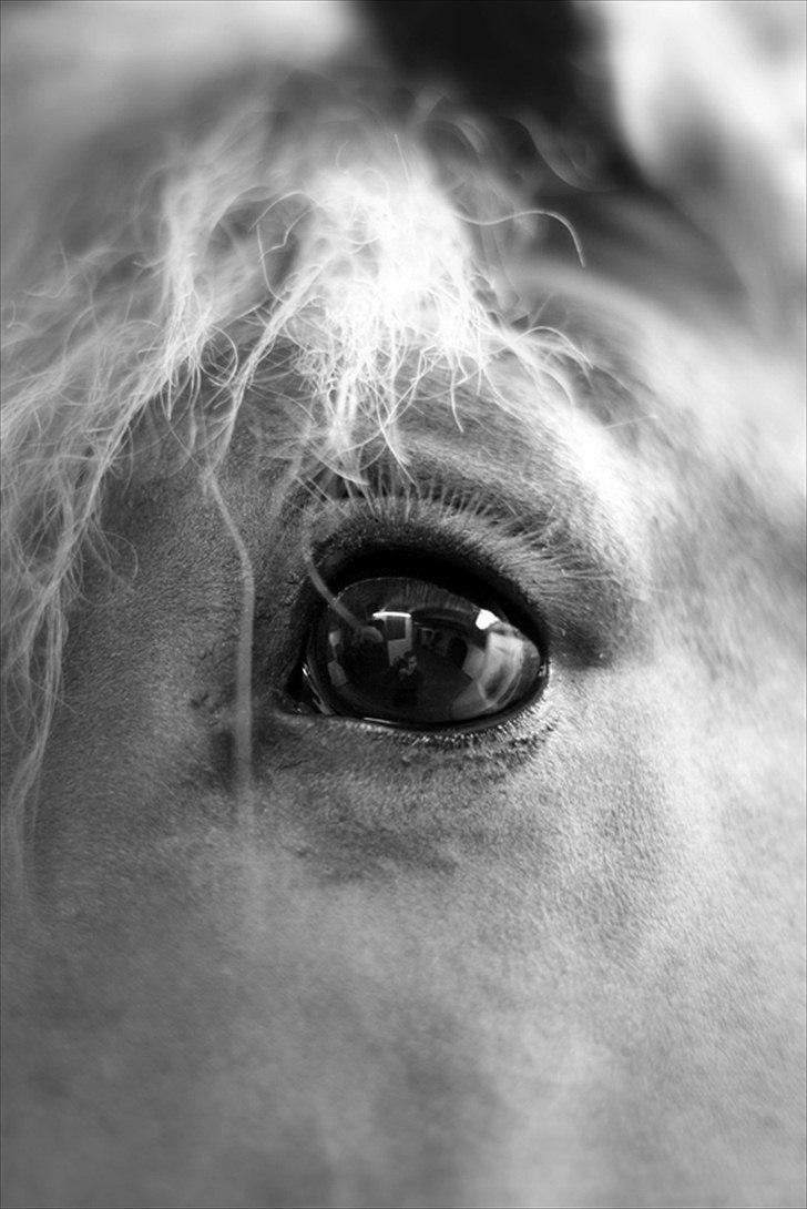 Sjov med Netto-pose ;)  billede 14