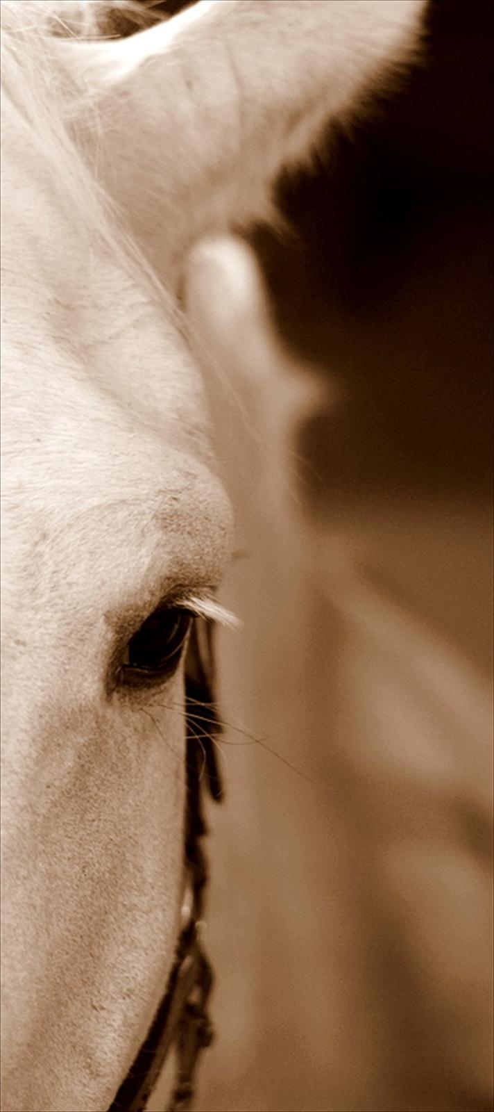 Sjov med Netto-pose ;)  billede 26