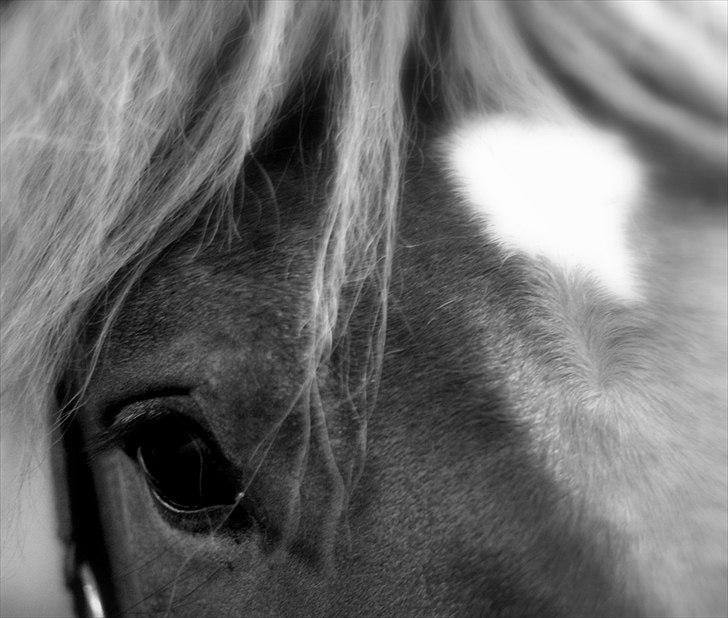 Sjov med Netto-pose ;)  billede 27