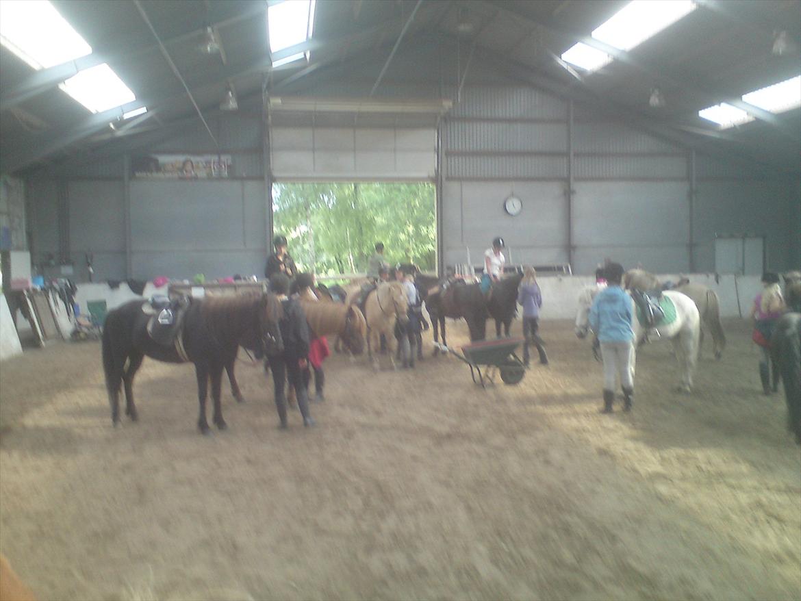 Ridelejr på Vinkærgård :) - Lige inden den første ridetur :) billede 7