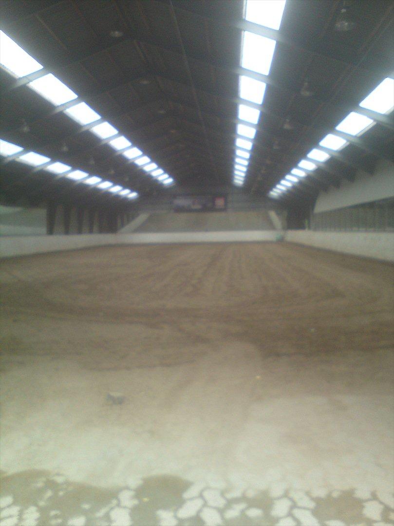 Ridelejr på Vinkærgård :) - Deres ridehal :) - De har ogs en ovalbane :) billede 15