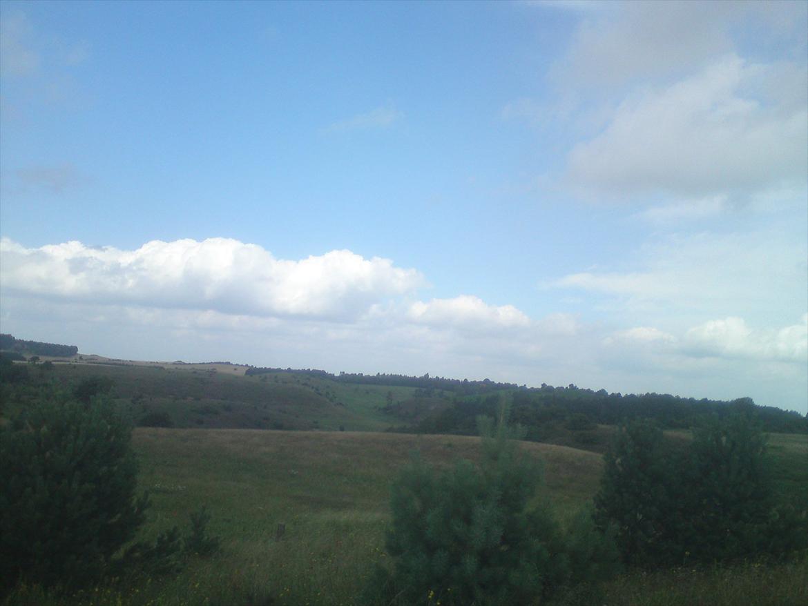 Ridelejr på Vinkærgård :) - Mols Bjerge :) Dejlig udsigt :D billede 17