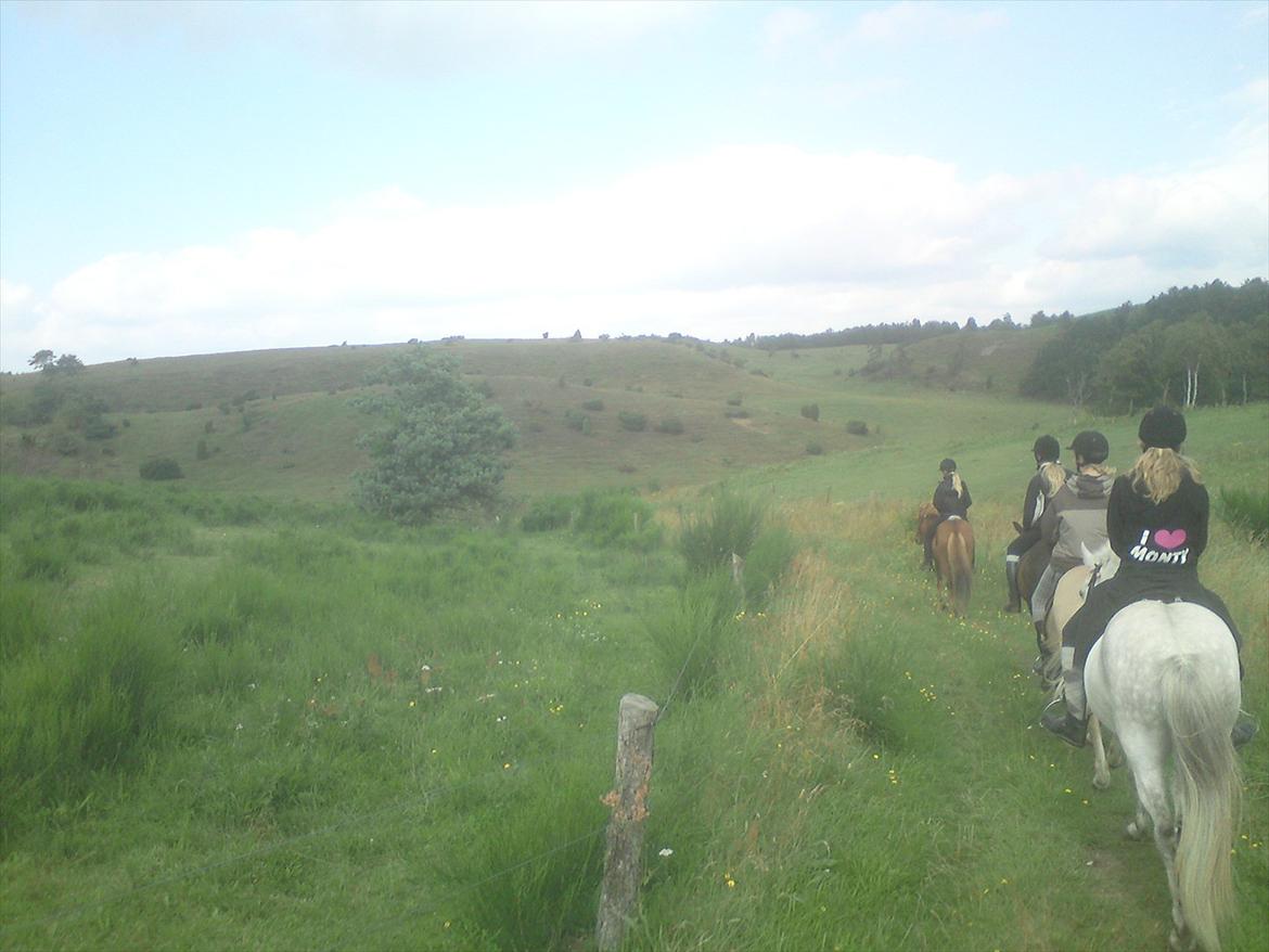 Ridelejr på Vinkærgård :) - Mols Bjerge igen :) billede 18