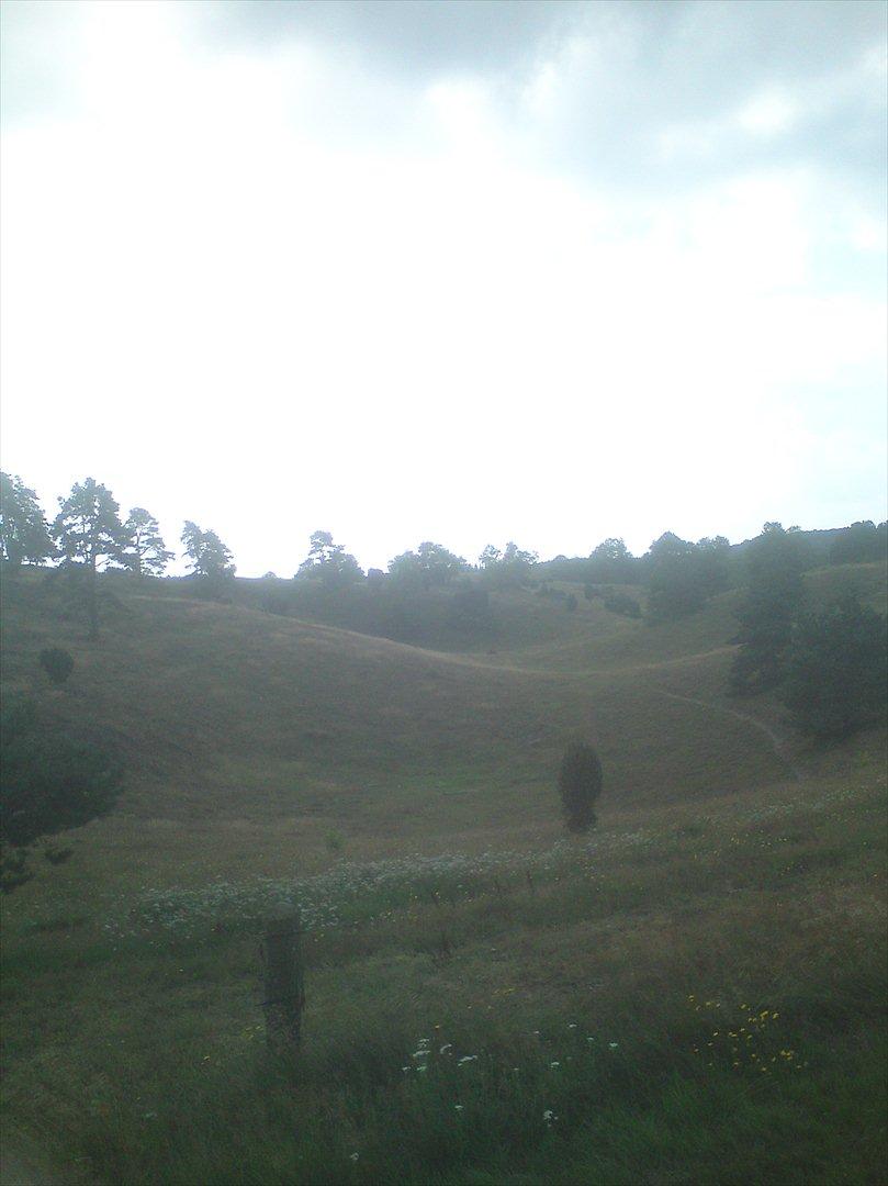 Ridelejr på Vinkærgård :) - Mols Bjerge - Det er den ene fold til unghestene :) billede 19